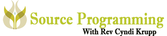 Source Programming logo